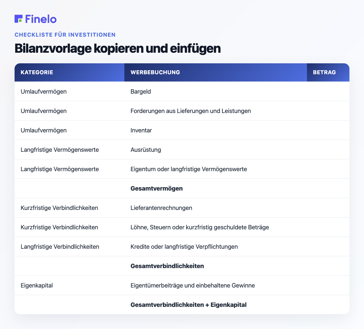 Bilanzvorlage kopieren und einfügen: Kategorie, Einzelposten, Betrag