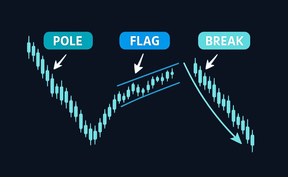 A bear flag consists of three parts: the sharp initial decline (flagpole), a smaller consolidation that may slope upward (flag), and a downside breakdown that continues the bearish move.