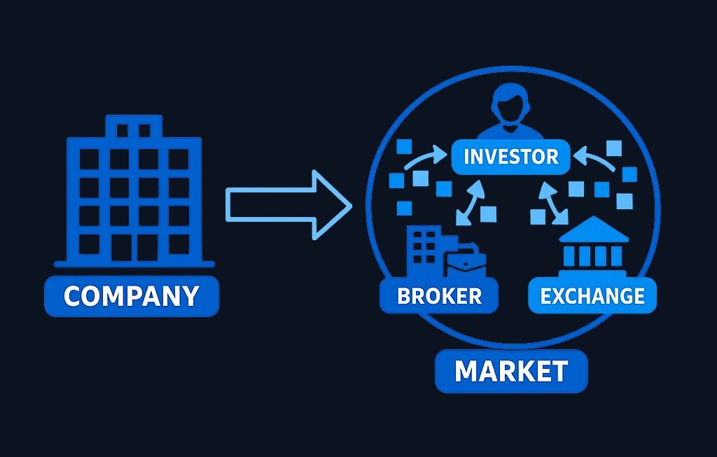A stock represents ownership in a company. The stock market is the system where these ownership units are issued and traded among