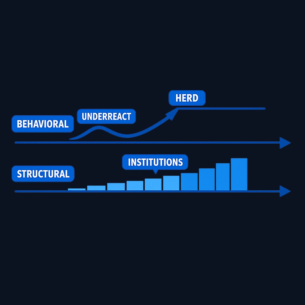 Two forces that can extend price trends beyond instant rational repricing. Behavioral underreaction followed by herding, and structural