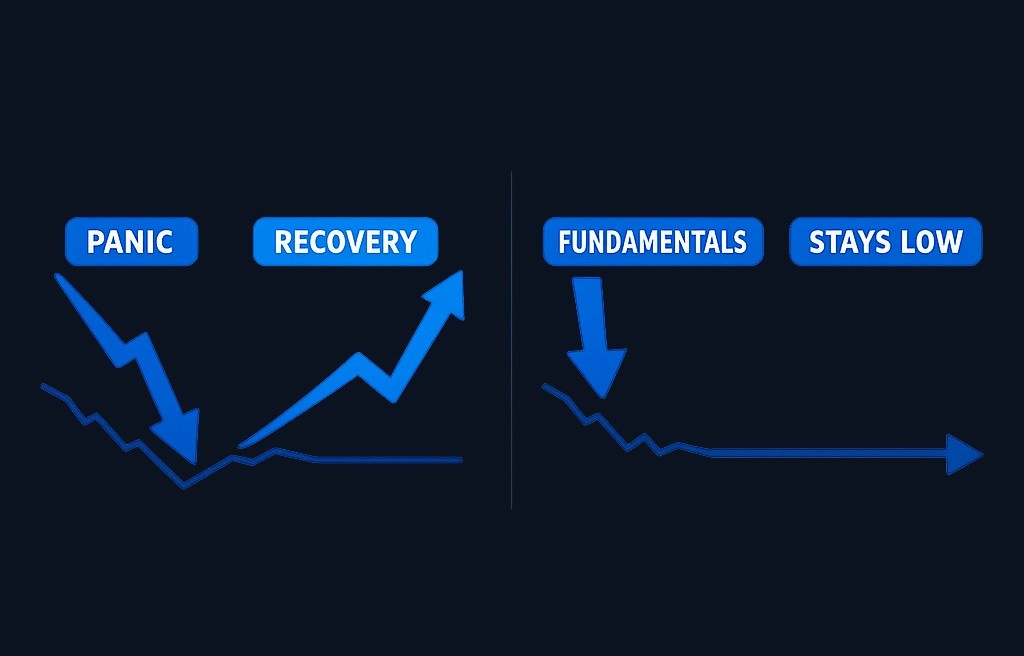 Not all sharp selloffs have the same cause or outcome. A panic-driven decline in a sound business may recover when fear fades. A
