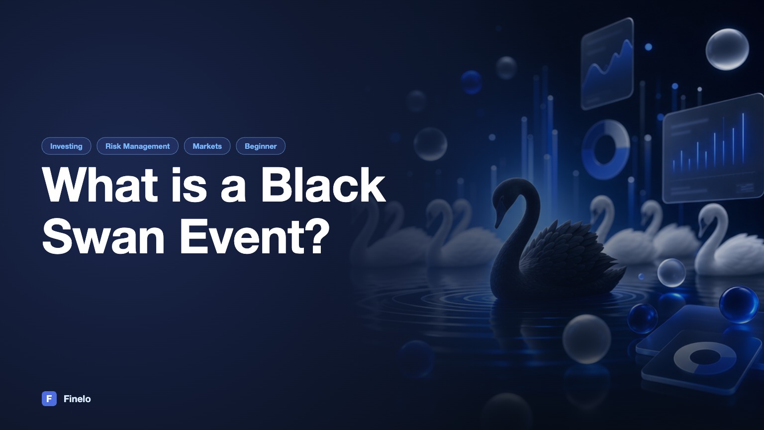 What is a Black Swan Event? — Finelo Blog