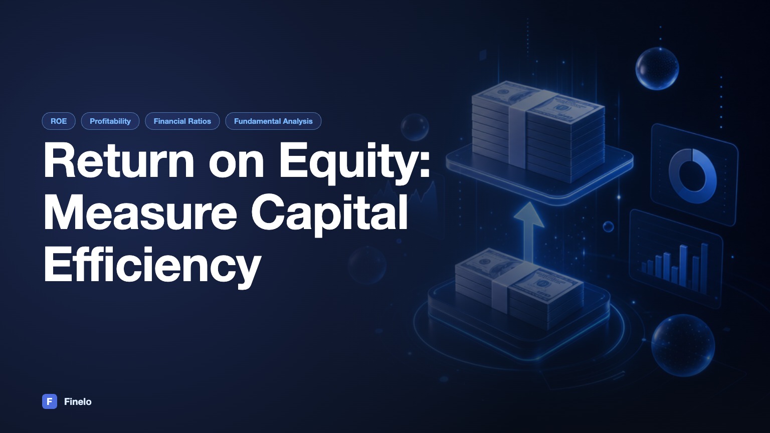What is Return on Equity (ROE) and Why It Matters — Finelo Blog